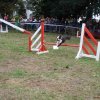 foire-haricots 2011-09-17et18